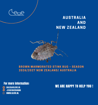 Brown Marmorated Stink Bug